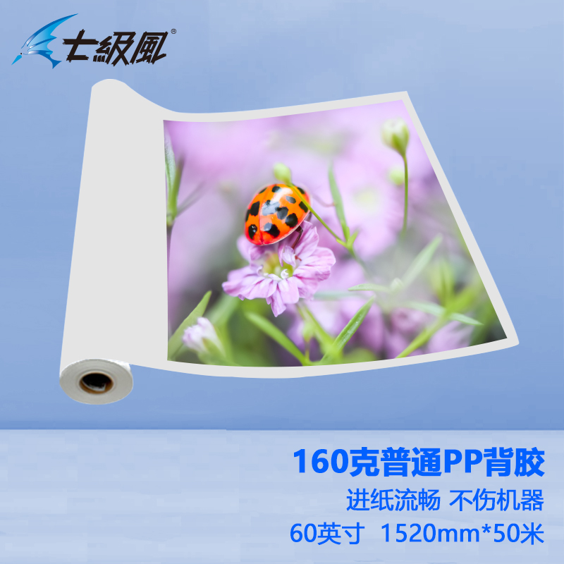 七級(jí)風(fēng) 160g普通pp背膠 平滑柔和不易卡紙